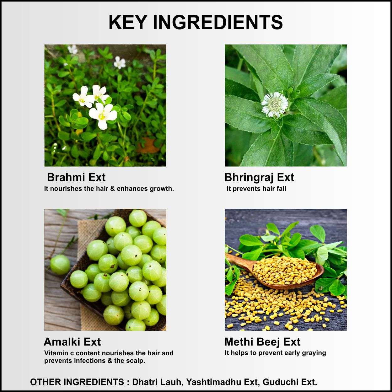 Ayurvedic tablet