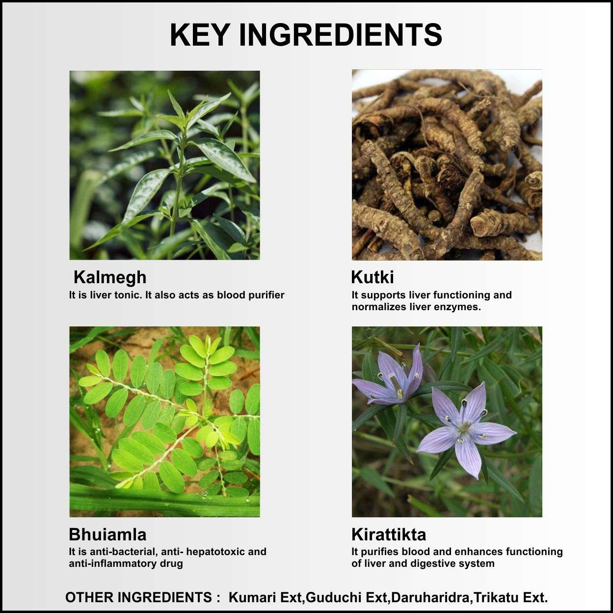 Ayurvedic tablet